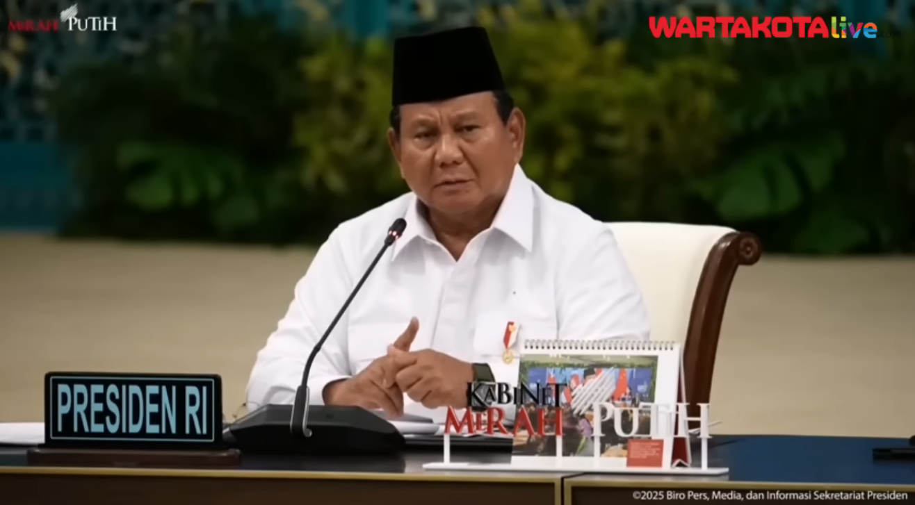 Dalang Pengrusak Hutan Sumatra